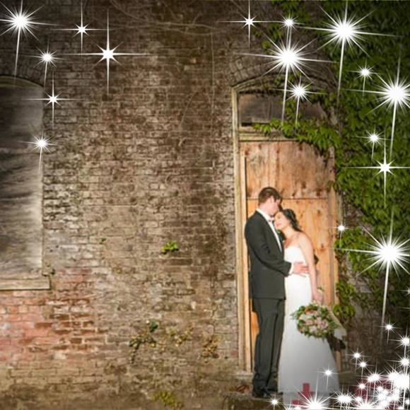 Meet your Posher, Molly - Picture 2 of 7